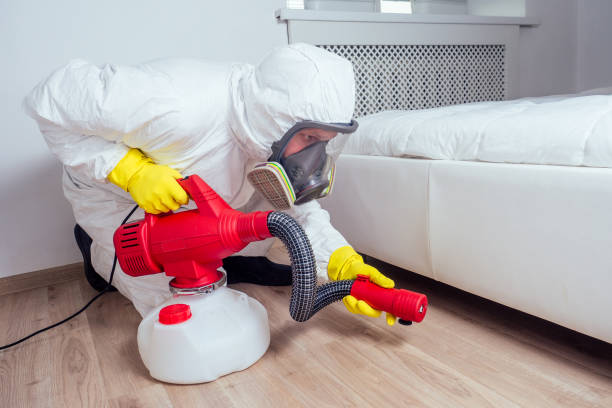 Best Pest Control Near Me  in Comanche, OK