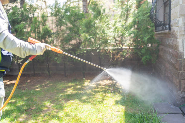 Best Rat Extermination Near Me  in Comanche, OK