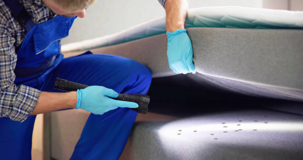 Best Mosquito Control Services  in Comanche, OK